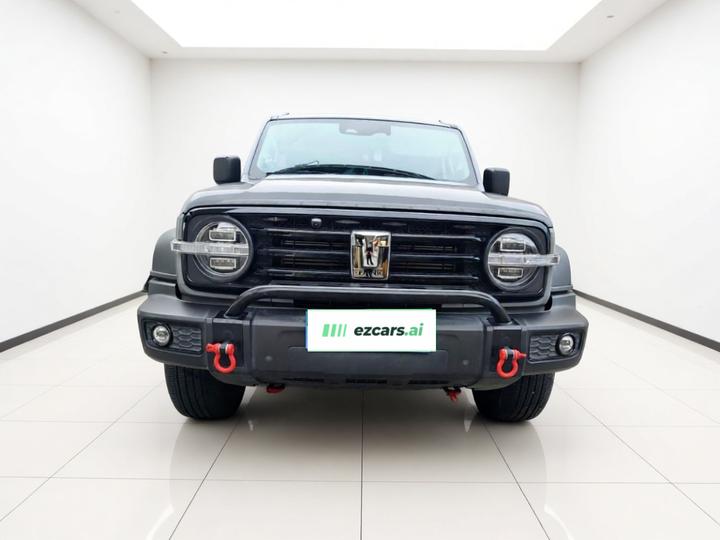 300 2023 Off-road 2.0T photo 2
