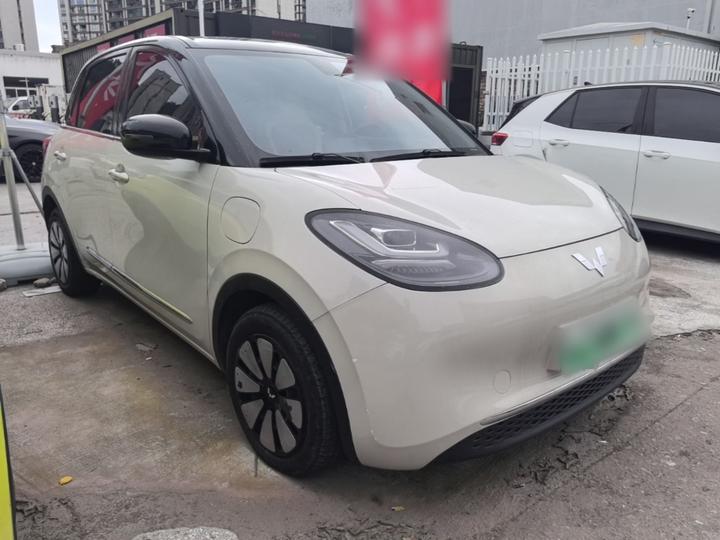 Wuling Bingo 2023 410km Exclusive photo 3