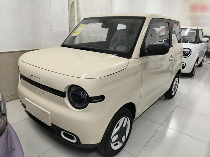 2025 Panda mini 210km Yuan
