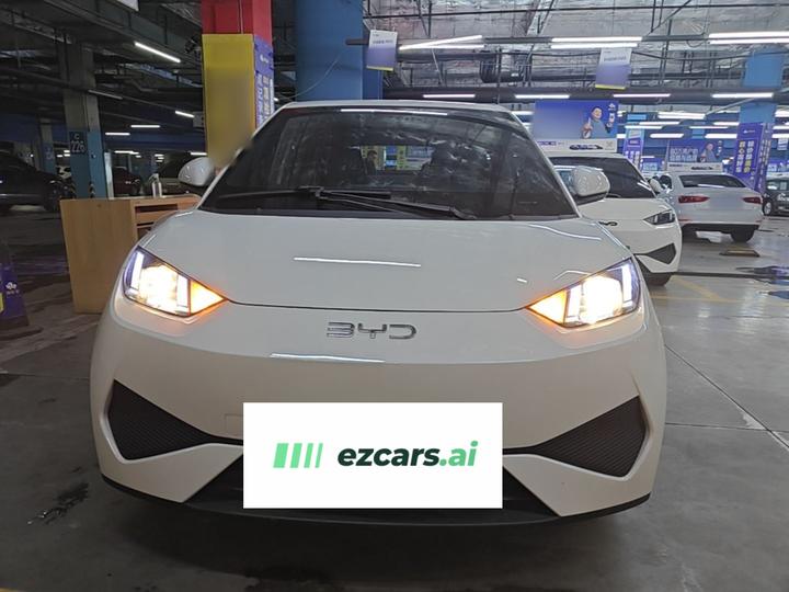 Seagull 2025 ADAS 305km photo 2
