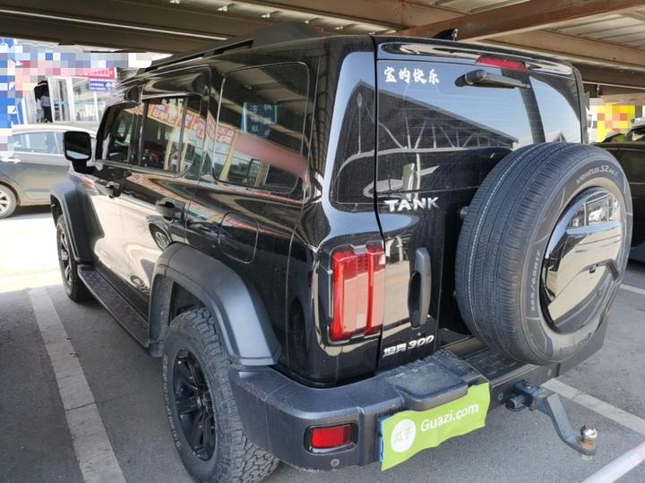 300 2021 Off-road 2.0T Conqueror photo 4