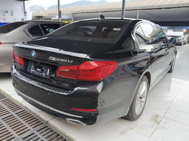 5 Series 2018 530Li Leading Luxury photo 6