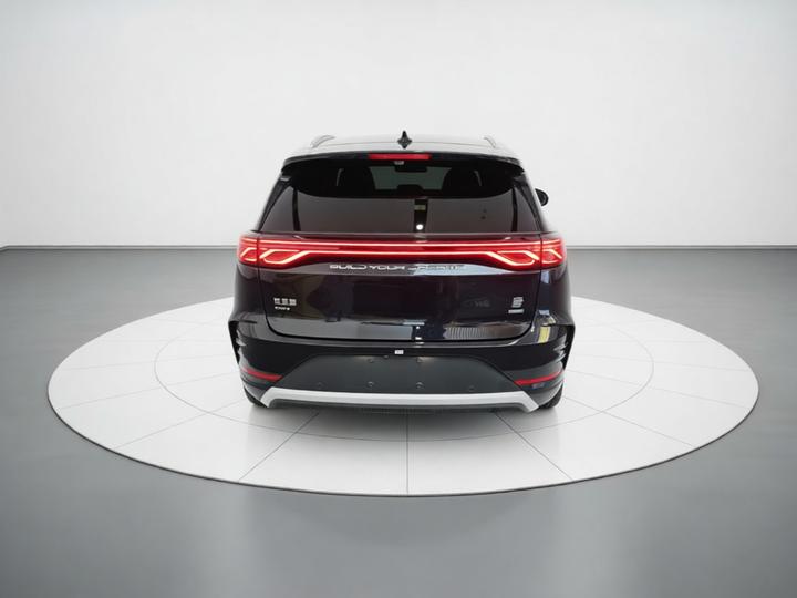 Tang EV 2025 ADAS DM-i 115KM Flagship photo 5