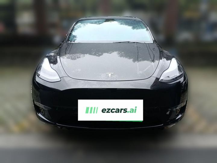 Model Y 2021 Standard Range RWD photo 2