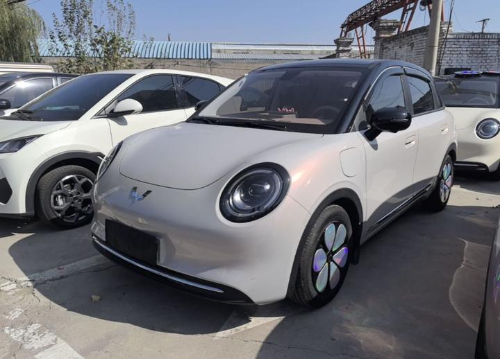 Bingo Pro 2026 403km Exclusive