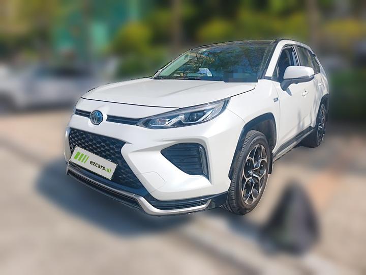 Wildlander EV 2021 Performance 2.5L AWD
