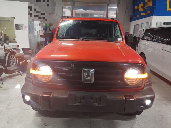 300 2021 Off-road 2.0T Conqueror photo 2