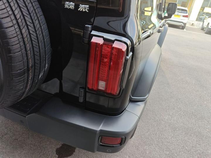 300 2021 Off-road 2.0T Conqueror photo 7