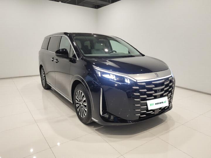 2025 DM-i 1.5T 180km Excellence photo 3