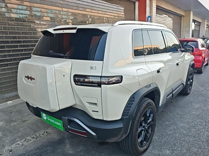 Fang Cheng Bao 3 2025 501KM RWD Max photo 6