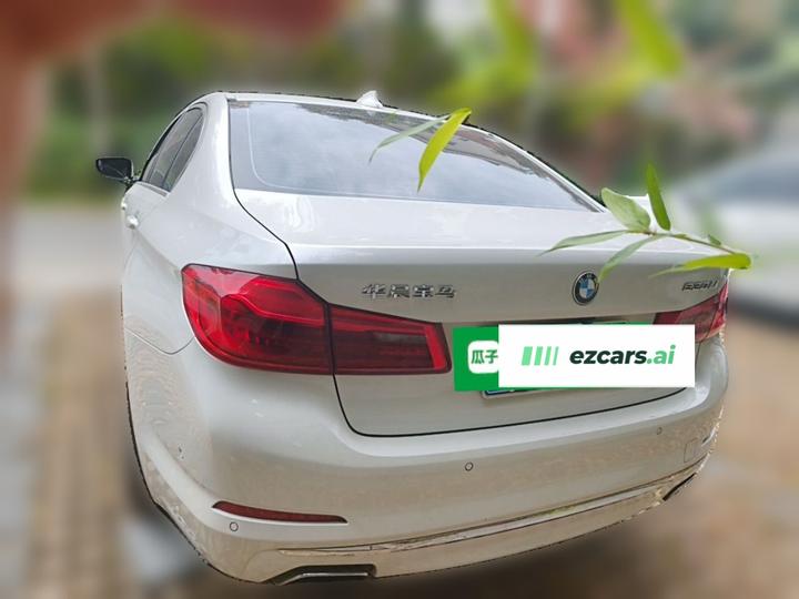 5 Series 2019 530Li Leading Luxury photo 5