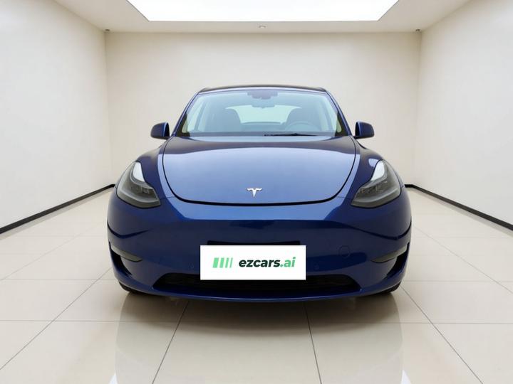 Model Y 2023 Long Range AWD photo 2