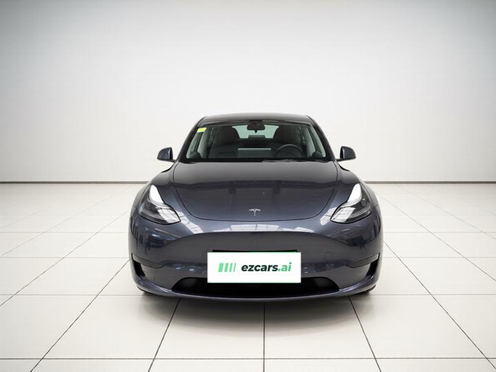 Model Y 2024 RWD photo 2