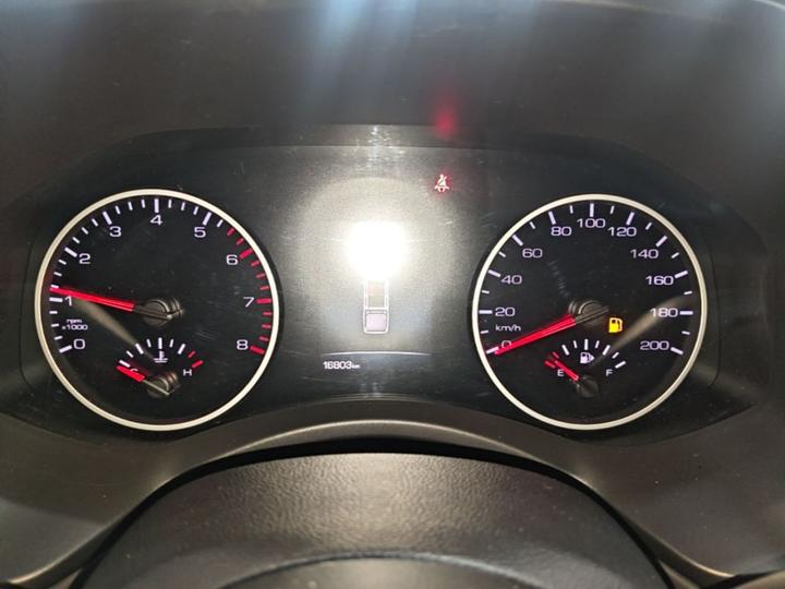 2019 2.0T MT Petrol RWD Pilot GW4C20B photo 7