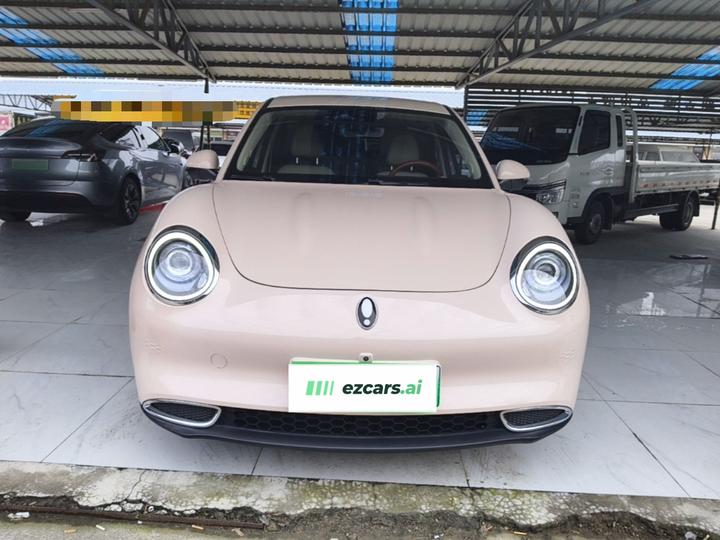 Good Cat 2021 400km Standard Range LFP photo 2