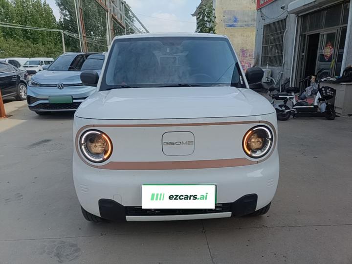 2024 Panda mini 200km Endurance Bear photo 2