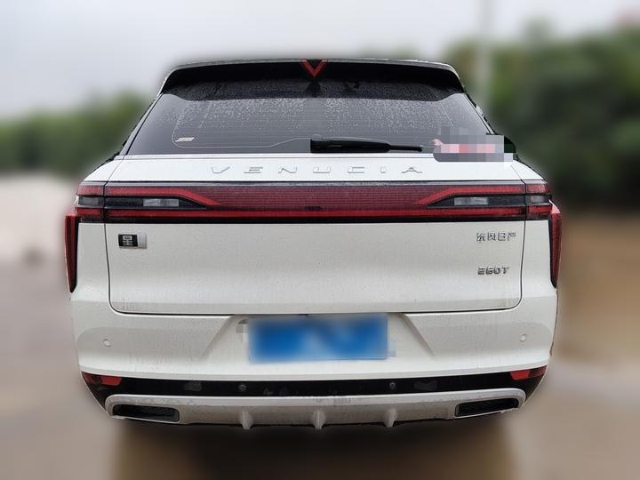2021 260T AT 48V Mild Hybrid photo 5
