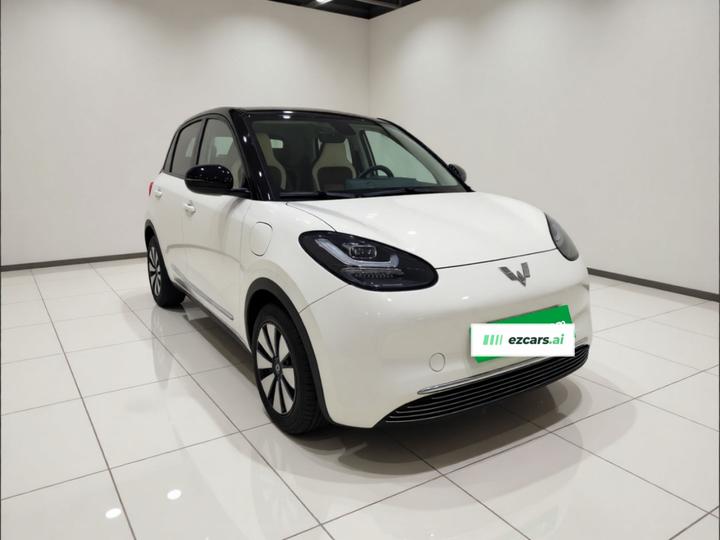 Wuling Bingo 2023 410km Exclusive photo 3