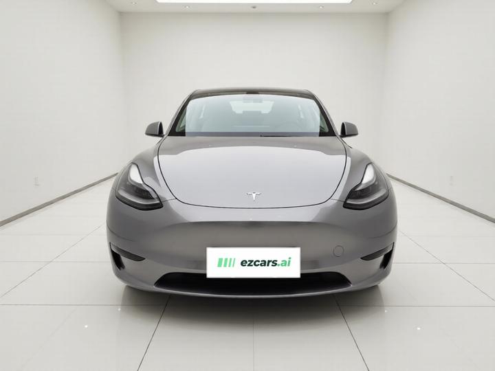 Model Y 2021 Long Range AWD photo 2