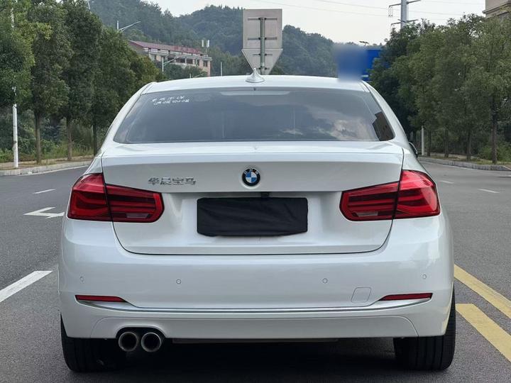 3 Series 2019 320Li Fashion photo 7
