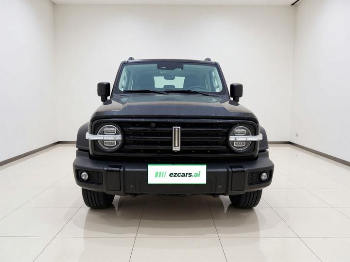 300 2021 Off-road 2.0T photo 2