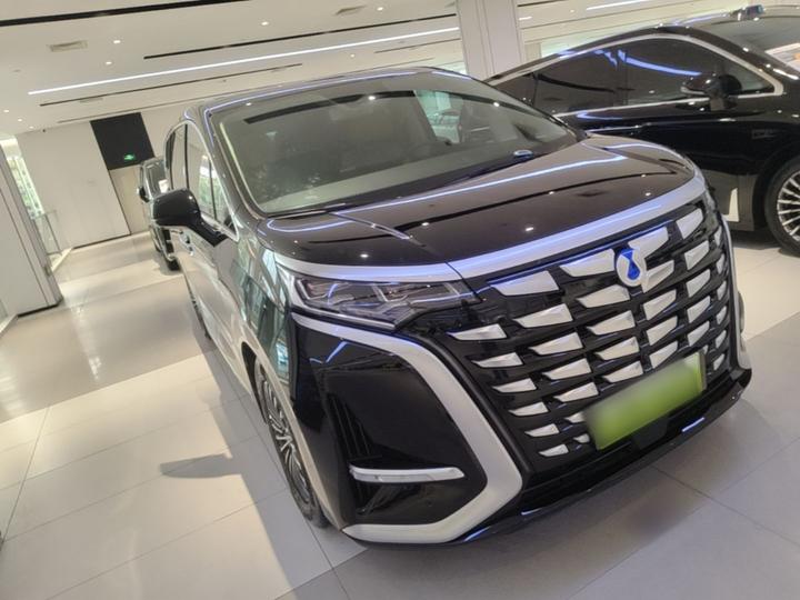 D9 2024 DM-i 980 AWD Noble photo 3