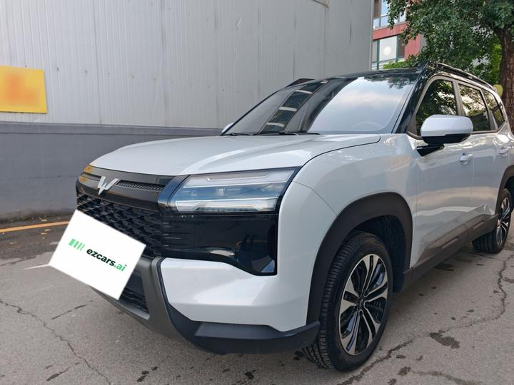 560 EV 2026 125km Luxury