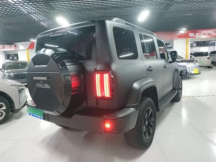 300 2024 2.0T Conqueror photo 6