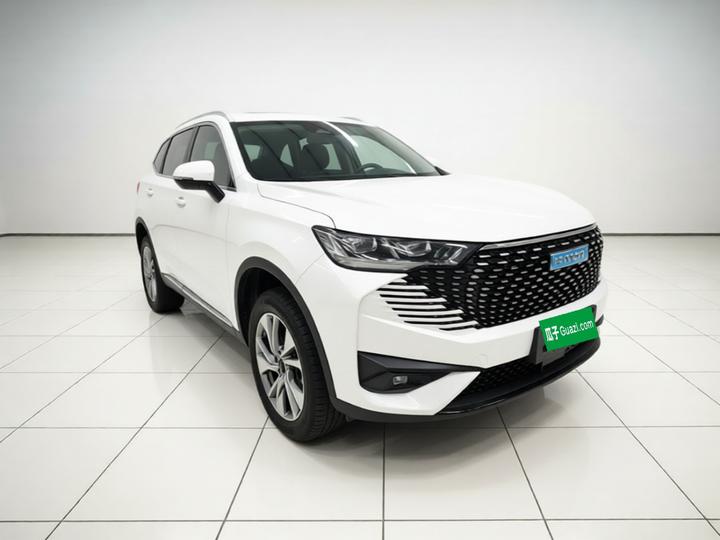 H6 EV 2023 DHT-PHEV 55KM photo 3