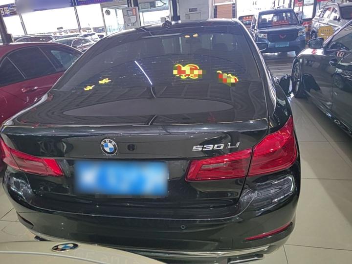 5 Series 2019 530Li Leading Luxury photo 3