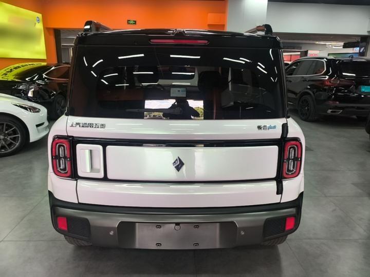 Plus 2024 Flagship 4-Seater photo 3