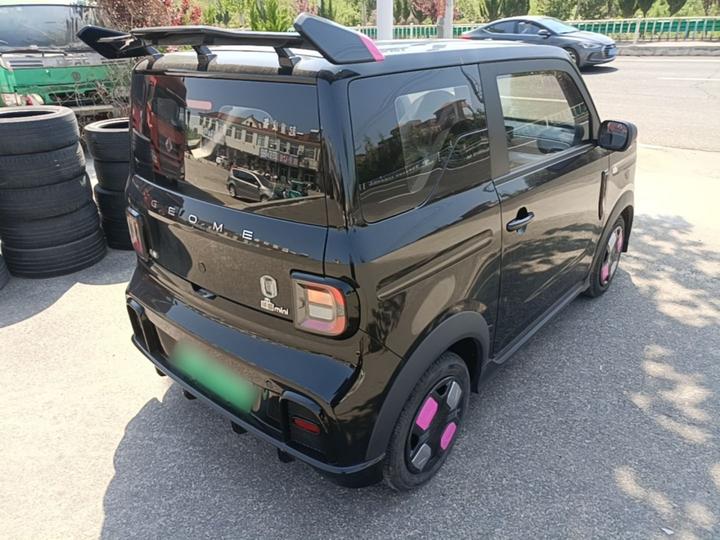 2025 210km Panda photo 4