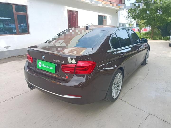 3 Series 2018 320Li Fashion photo 4