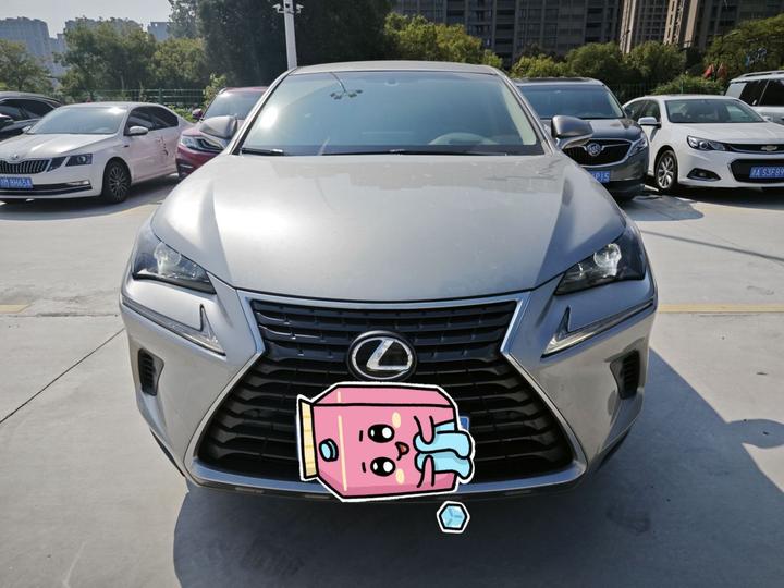 NX 2017 300 FWD photo 2