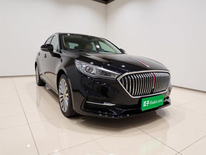H5 2020 1.5T DCT photo 3