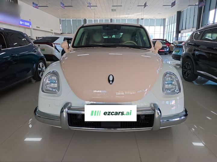 2023 401km Premium photo 2