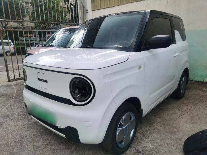 2023 Panda mini 200km Endurance Bear