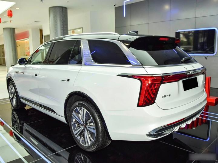 E-HS9 2025 660km 4-Seater photo 4