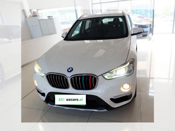X1 2019 xDrive20Li Exclusive photo 2