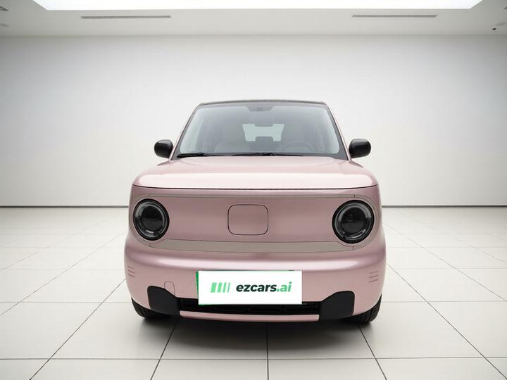 2023 Panda mini 200km Endurance Bear photo 2