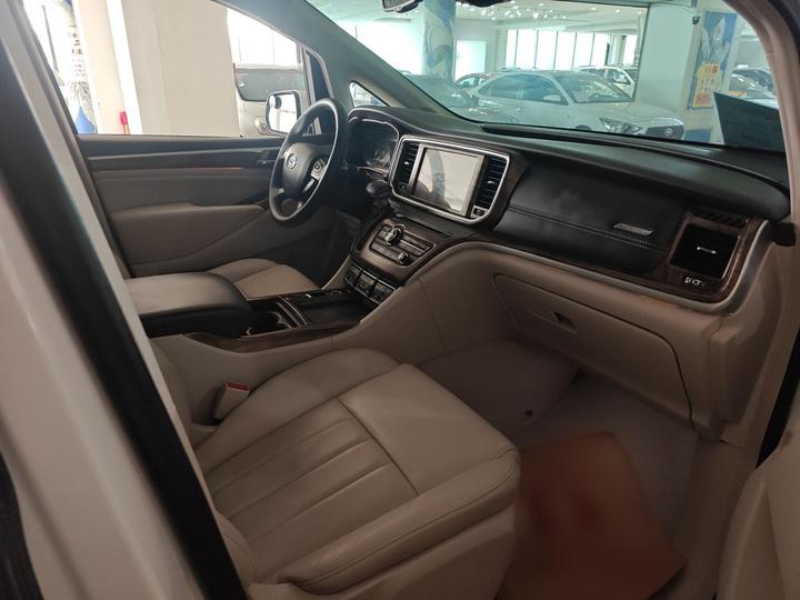 GAC Trumpchi M8 2018 320T Premium photo 8