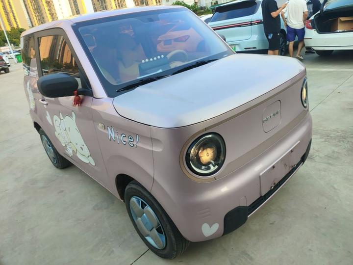 2023 Panda mini 200km Endurance Bear photo 3
