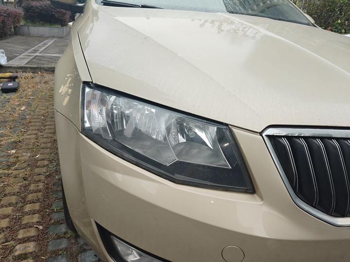 Octavia 2015 1.6L AT photo 7
