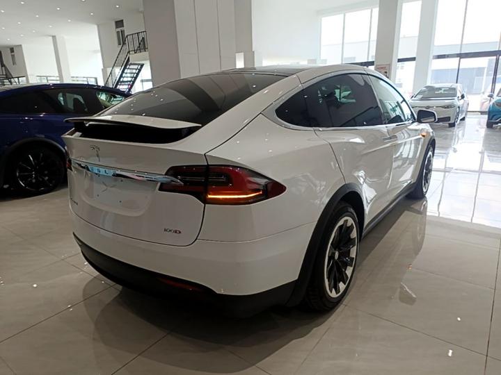 Model X 2019 Long Range photo 4