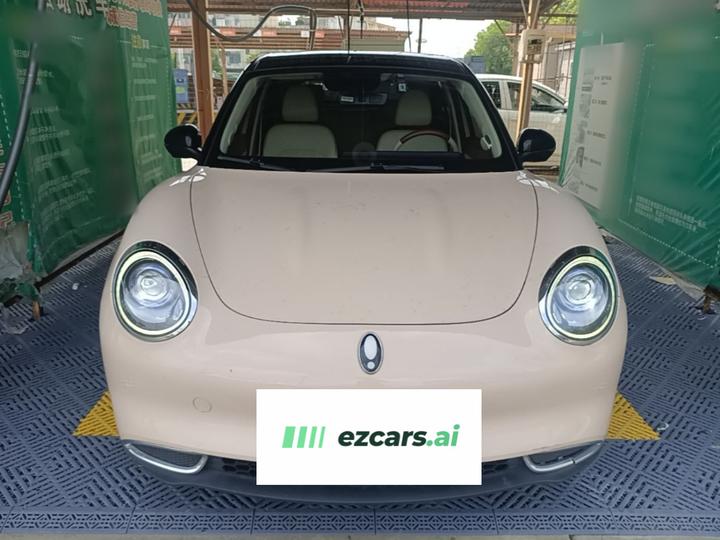 Good Cat 2022 400km Standard Range Premium LFP photo 2