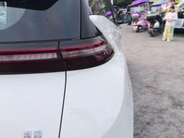Seagull 2025 ADAS 305km photo 7