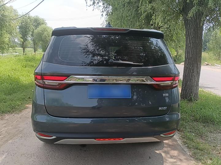 Jiaji 2019 1.5TD MHEV DCT photo 3