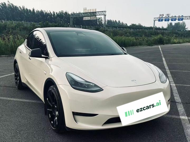 Model Y 2021 Standard Range RWD photo 3