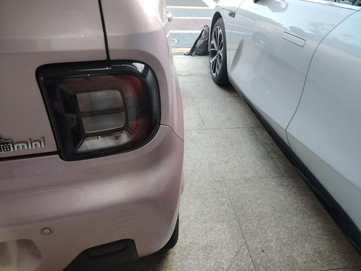 2023 Panda mini 200km Endurance Bear photo 7