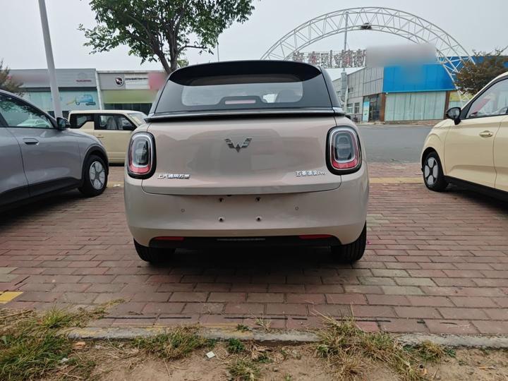 Bingo Pro 2026 330km Exclusive photo 5